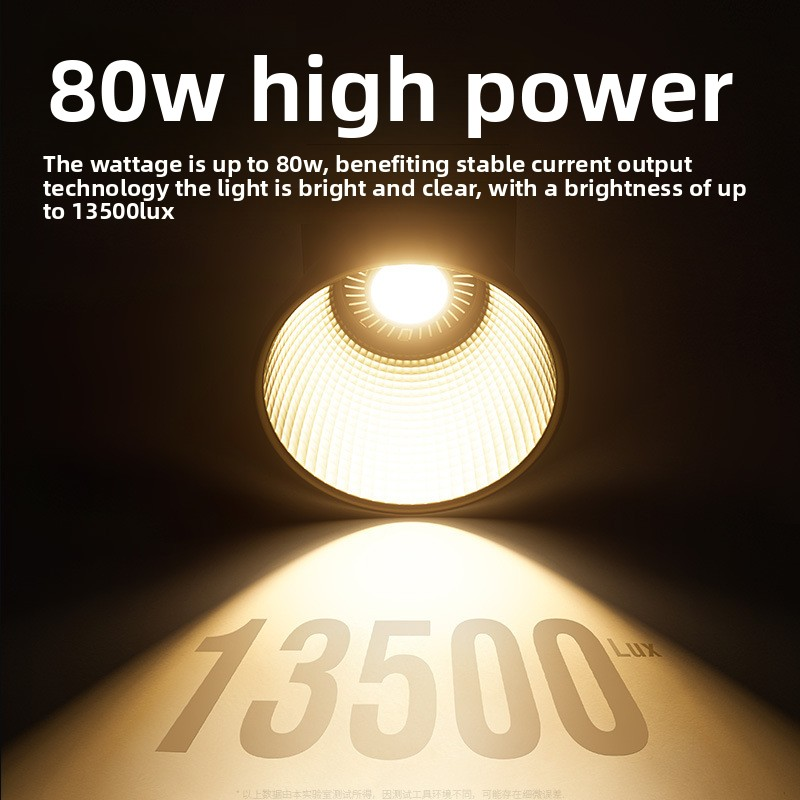 ZU80 80w Handheld Exterior Lam - Photography Lighting Meter บทวิจารณ์และราคา