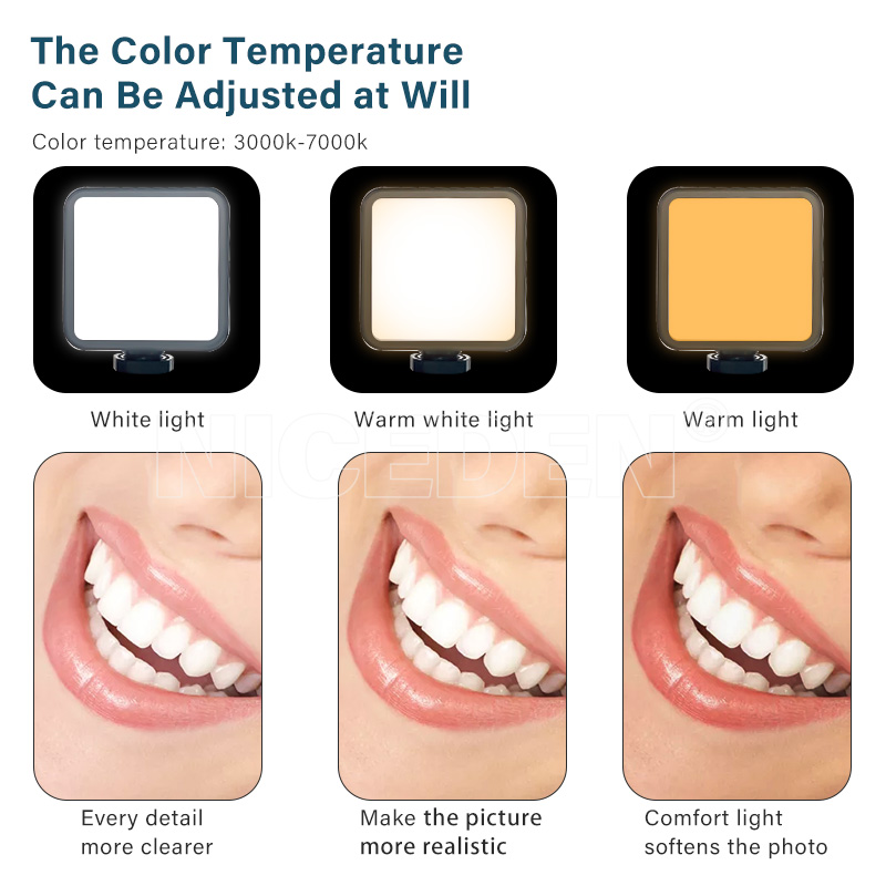 Niceden Dental portable Flash  - Photography Lighting Portable บทวิจารณ์และราคา